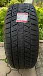 Bridgestone Blizzak DM-V3