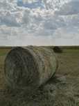 Продам сено с доставкой, рулон 8000тенге..