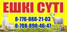 Ешкі сүті сатылады