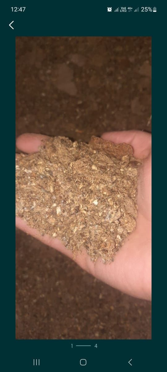 Продаётся максар шрот