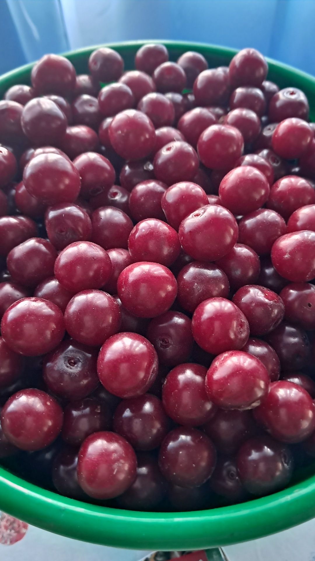 Продам вишню натуральная