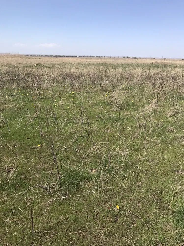 Участок товарное сельхозпроизводство