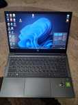 HP Pavilion 14, 5500u mx450