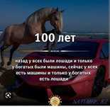 Лошади 11 голов разные по возрасту
