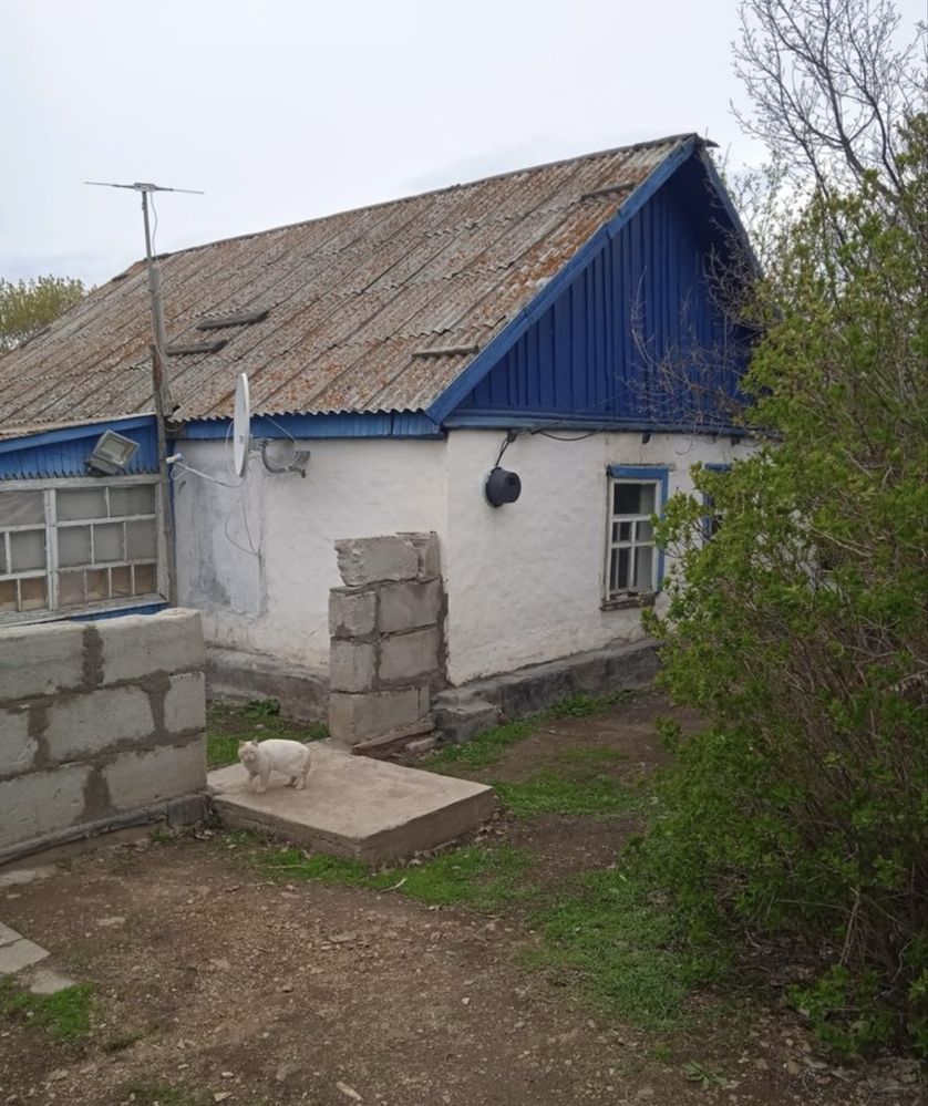 Срочно! Продам дом, рядом лес. Недорого.