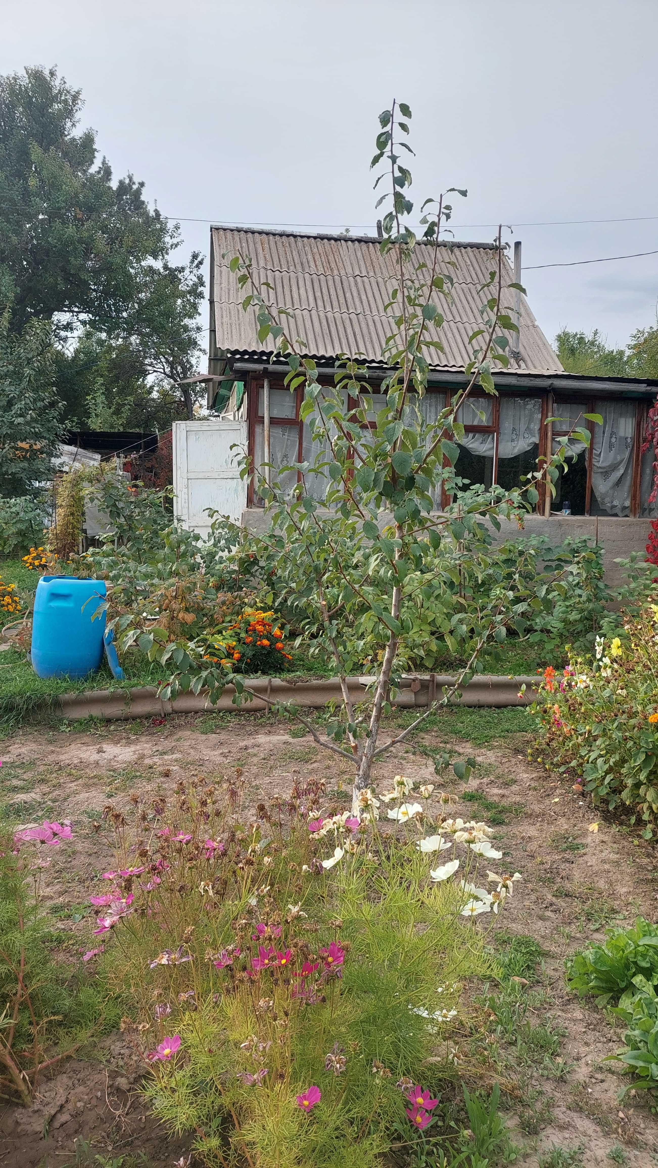 Продам дачу в Каскелене