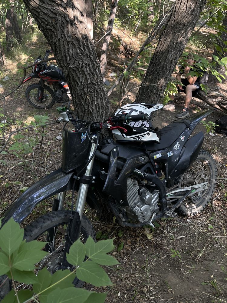 xinguizin shr 3 300cc