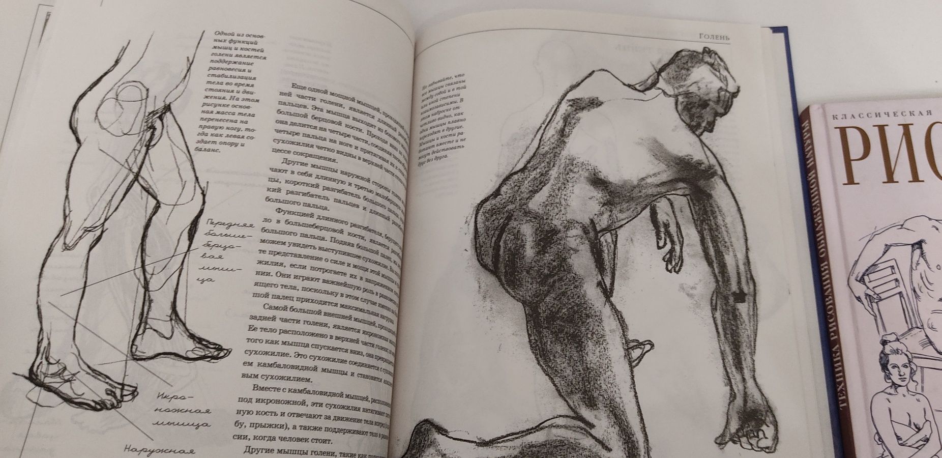 Анатомия пособие художника.Техника рисования.Словарь мастеров исскуств