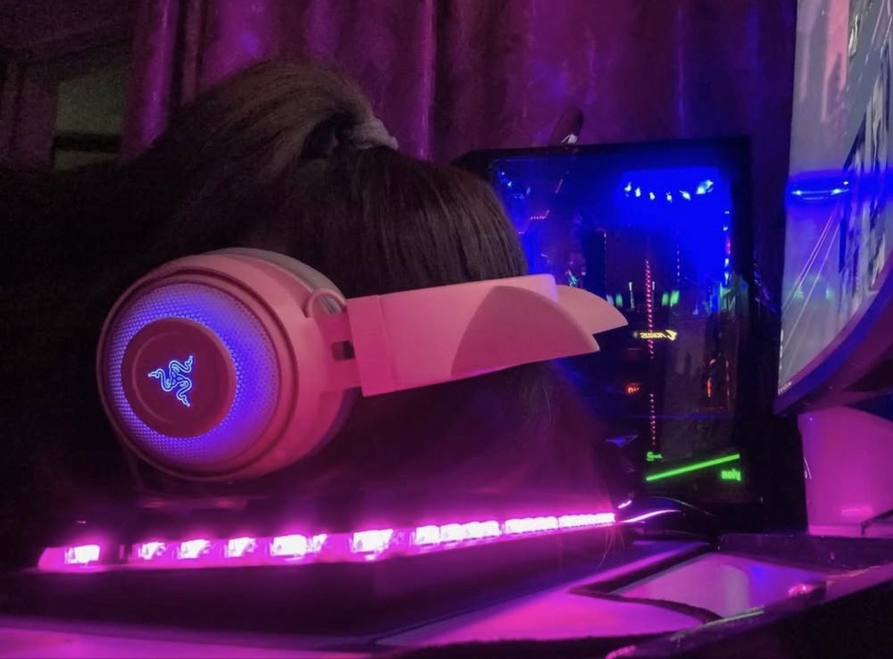 Razer Kraken Kitty Edition