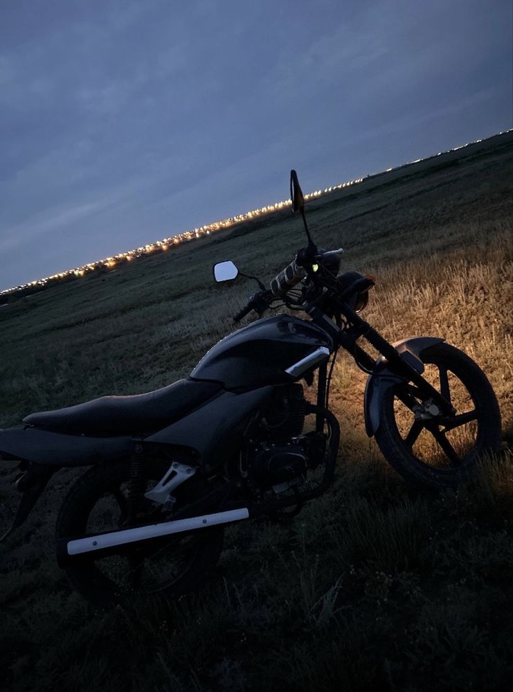 Рейсер тигр 150 куб