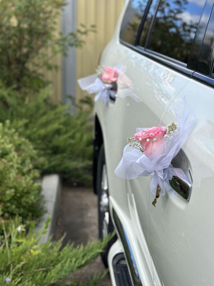 Аренда авто, прокат автомобилей