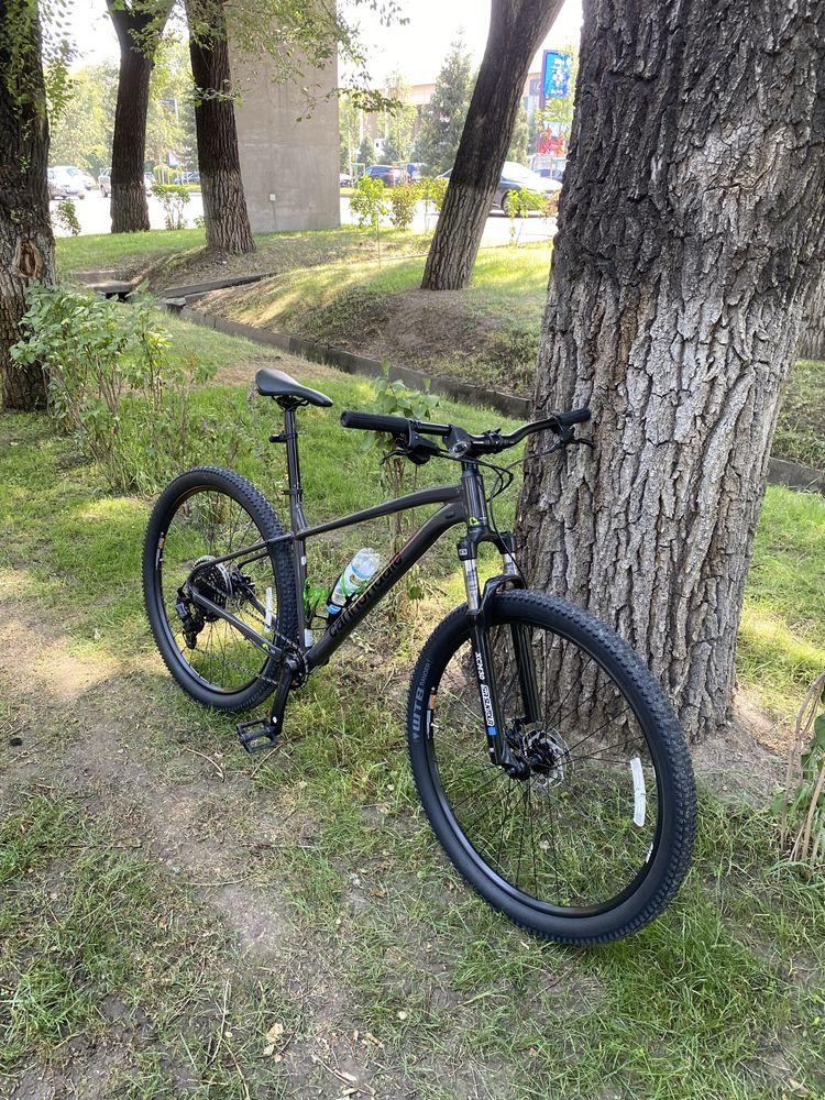 Cannondale trail 5 2024