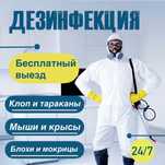 Дезинфекция. Уничтожение клопов и тараканов кандала тышкан дизинфекция