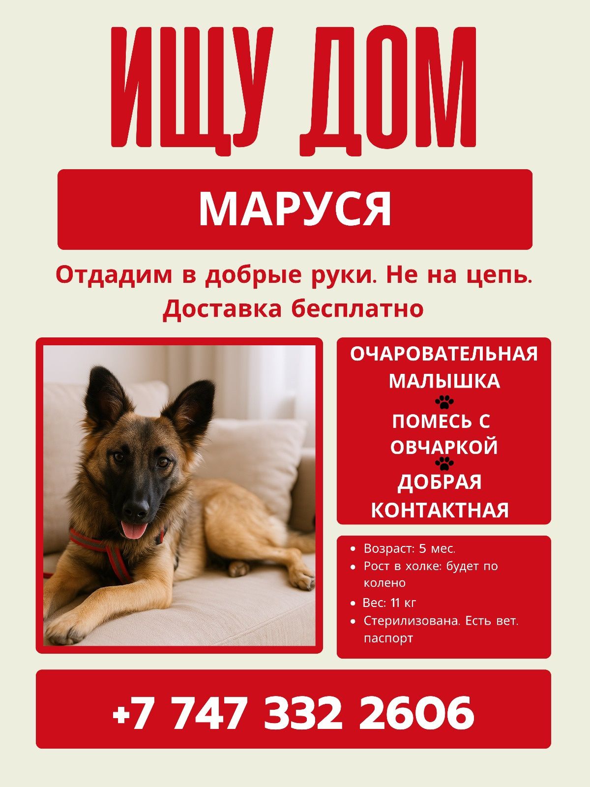 Отдам щенка девочку