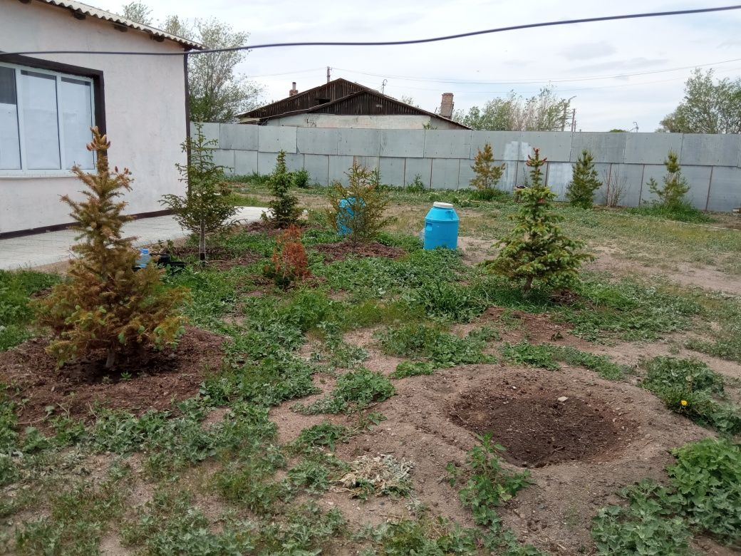 Озеро Балхаш п.Торангалык