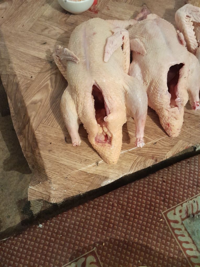 Мясо утки шипуны, индюки