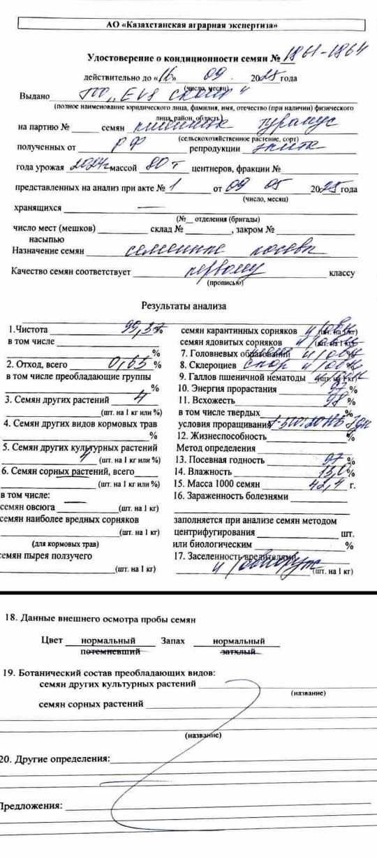 Семена Озимой Пшеницы ЭЛИТА Европейская селекция