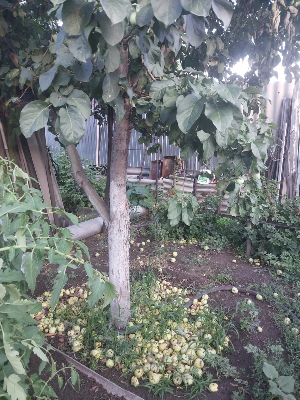 Продам дом срочно