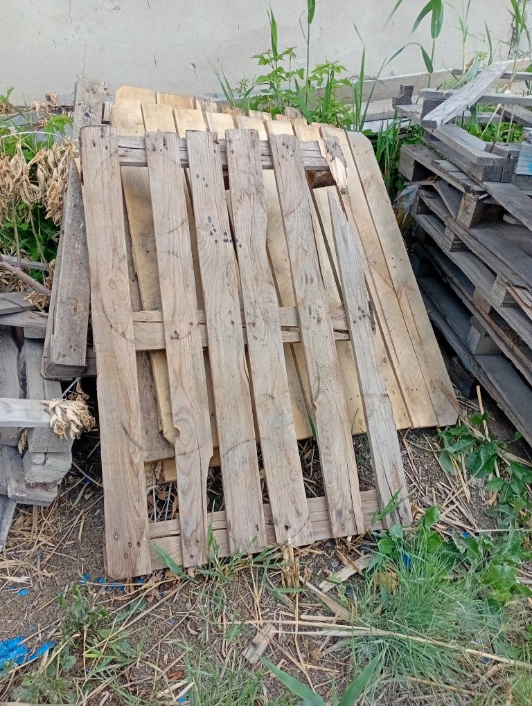 Прадам драва 1 газел
