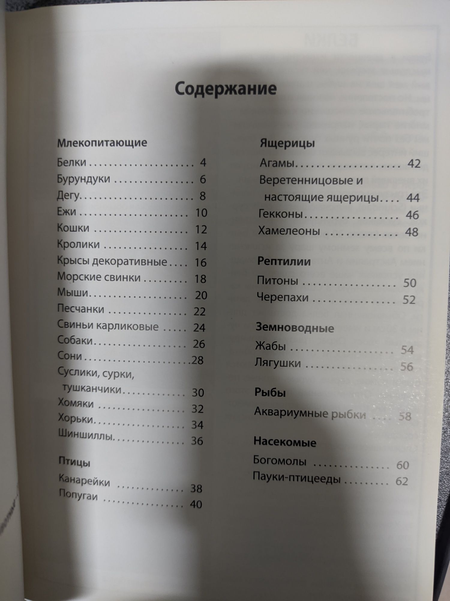 Книги о кошках. Мыши. Разведение раков и рыб. Домашние животные.