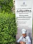 Центр лечения суставов