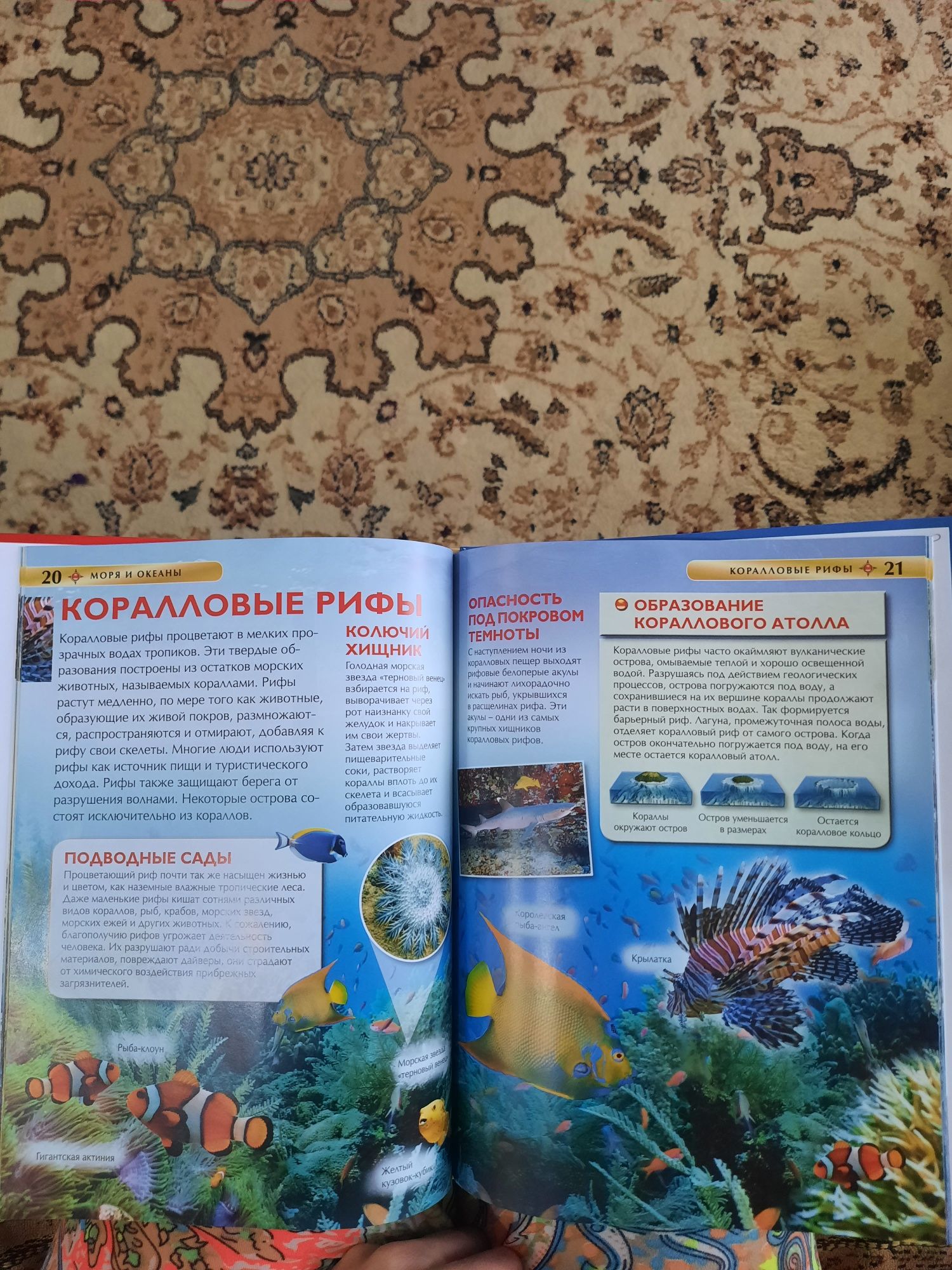 Новая детская энциклопедия Моря и океаны