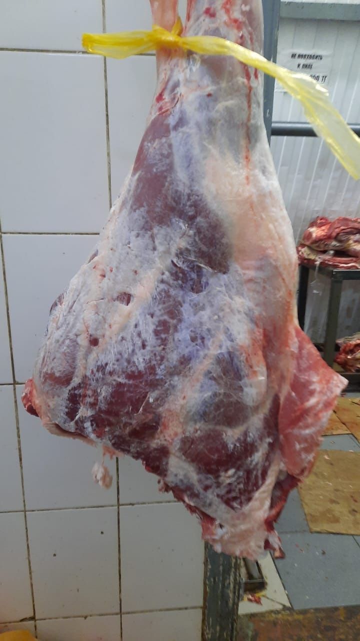 Продам мясо, говядина