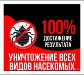 Уничтожение насекомых