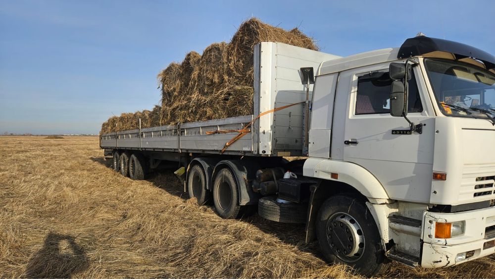 Сено в рулонах житняк разнотравье.