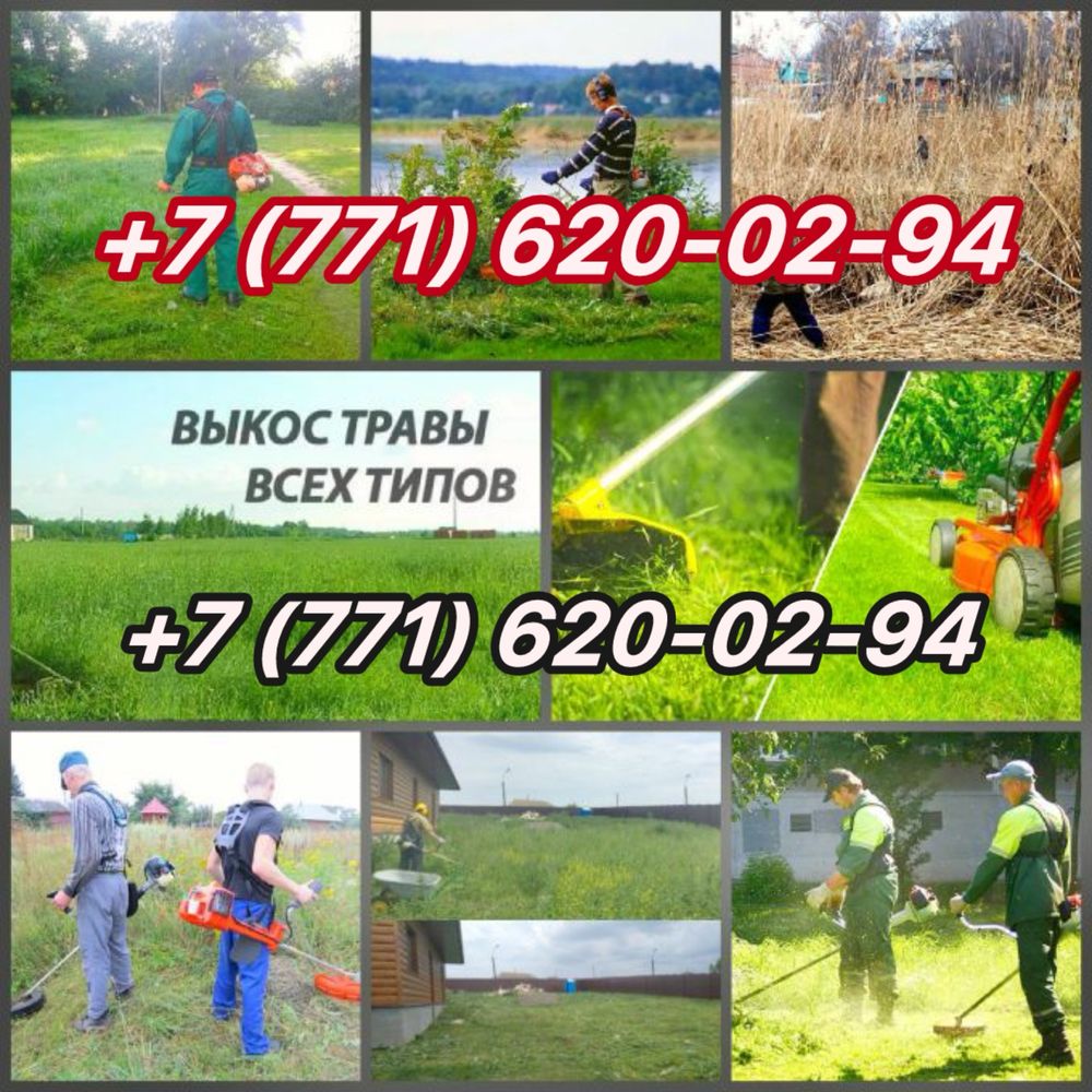 Покос травы тримером