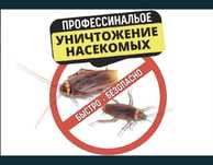 Дезинфекция таракан кандала клоп кумырска