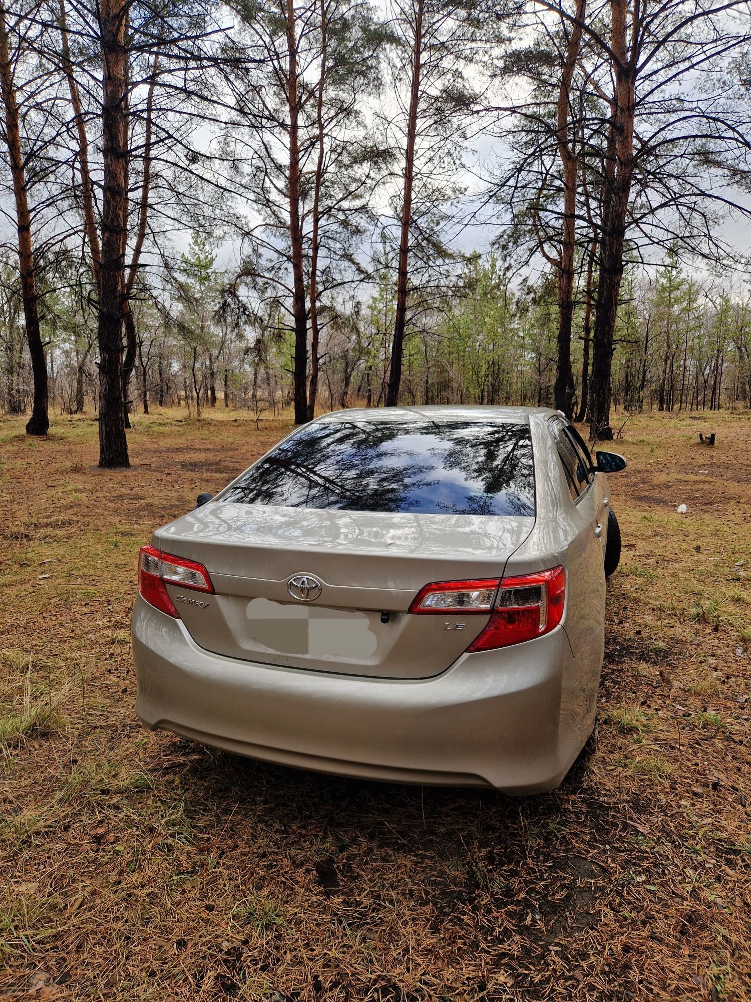 Toyota Camry XV50