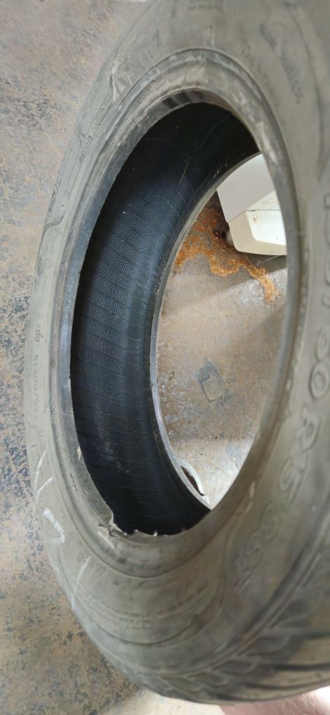 Резина зима  185/60 R15