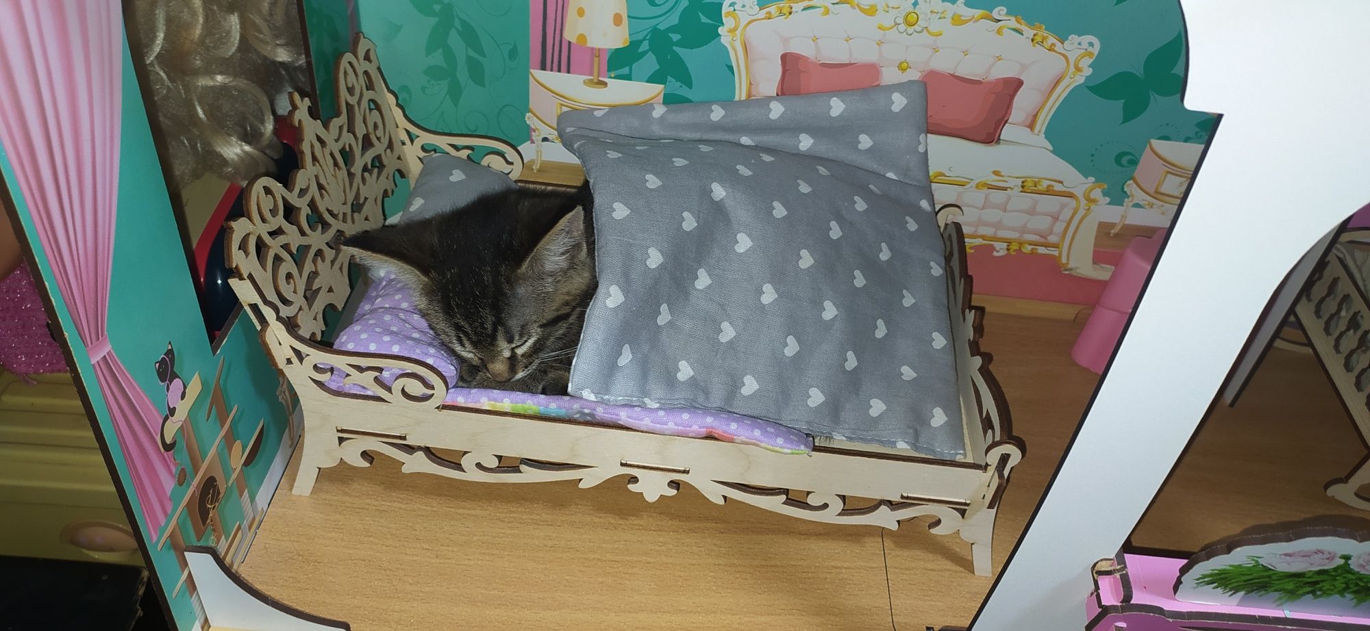 отдадим котят в хорошие  руки
