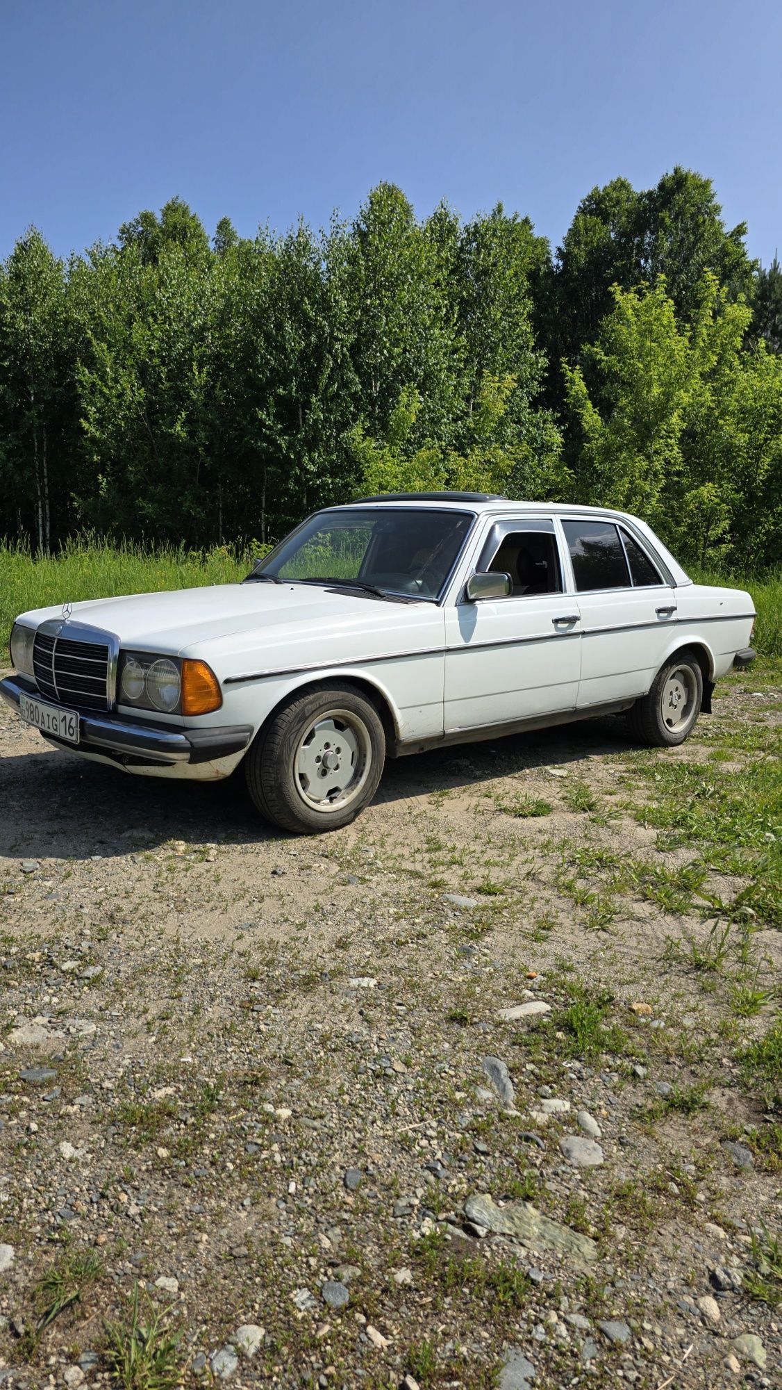 Мерседес .  w123