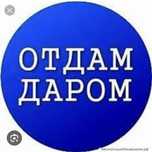 Отдам бесплатно вещи!