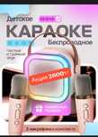 Портативная караоке система, колонка с двумя микрофонами