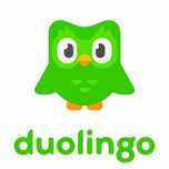 Поможем сдать TOEFL  и DUOLINGO