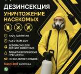 Дезенфекция от тараканов, клапов, муравьев. Работаем 24/7
