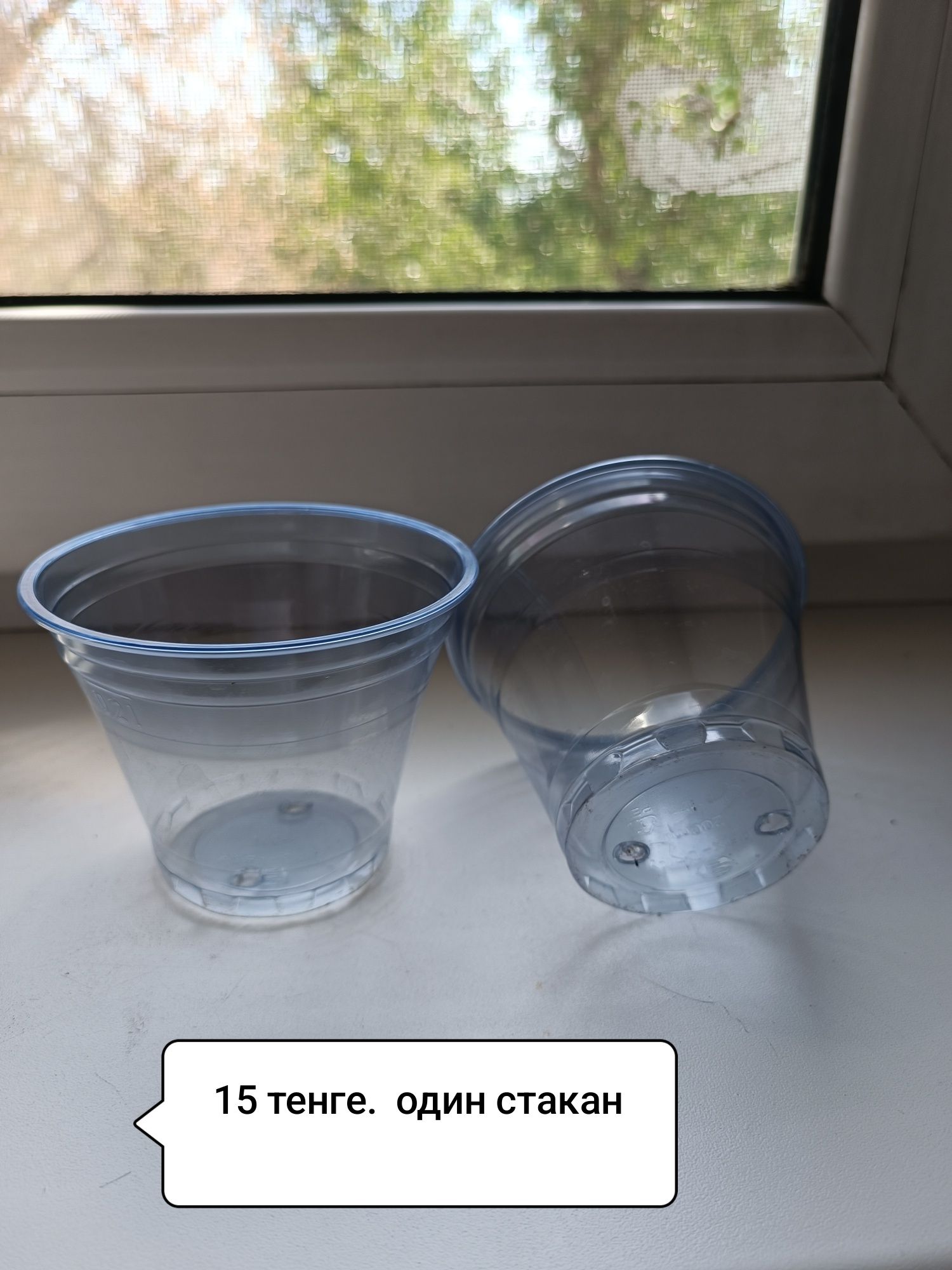 Продаю цветы разные