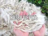 Продам козью, овечью шерсть недорого