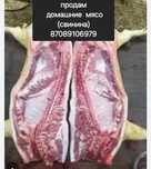 Мясо свинина домашняя