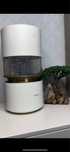 Увлажнитель воздуха Smartmi Humidifier Rainforest белый
