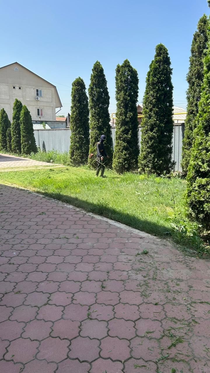Косим траву, шоп шабу