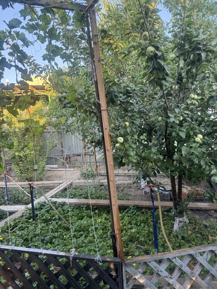 Сдается в аренду частный дом