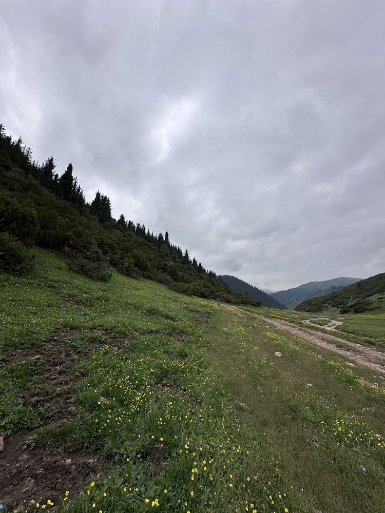 Туры на Плато Ассы