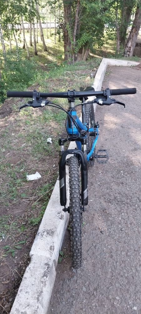 Trinx(cube giant scott author centurio)