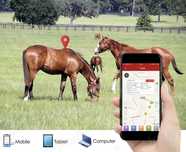 Жпс, Gps трекер для лошадей, жылқыға