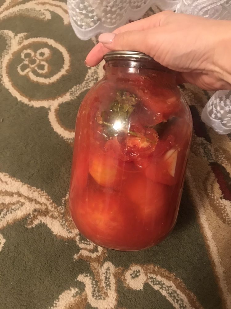 Солонина