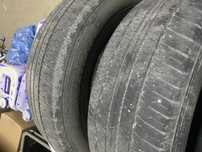 Продам летние шины Dunlop